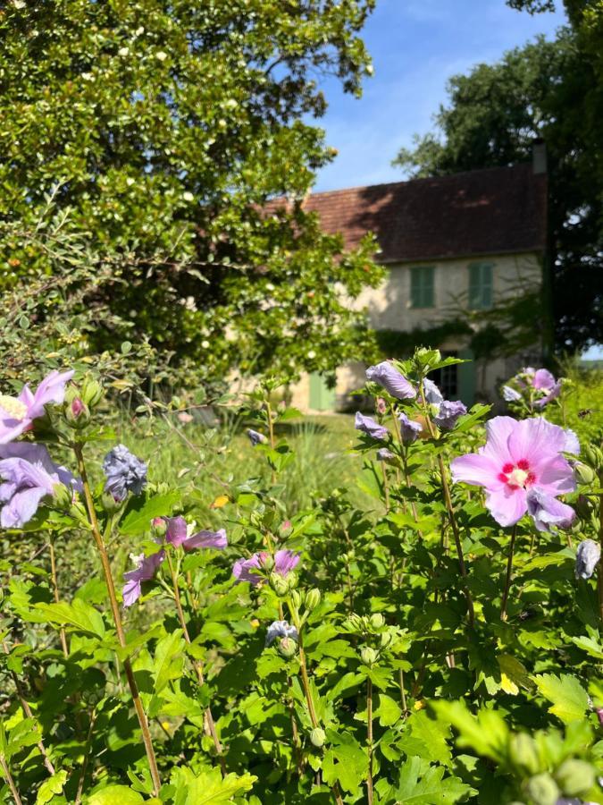 Le Clos Chalmon Chambre d'hôte Montignac-Lascaux Exterior foto